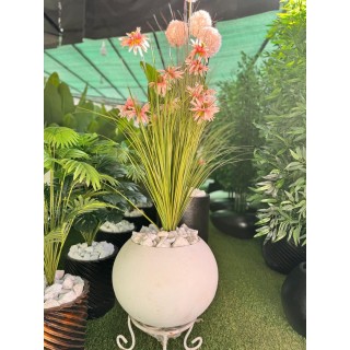 Sunflower Lemon Grass - White Pot